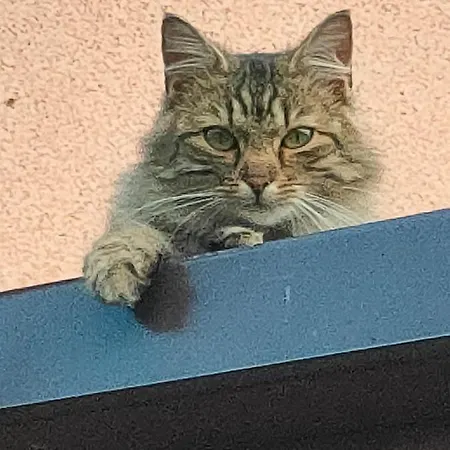 Na Brzegu Lapsze Wyzne