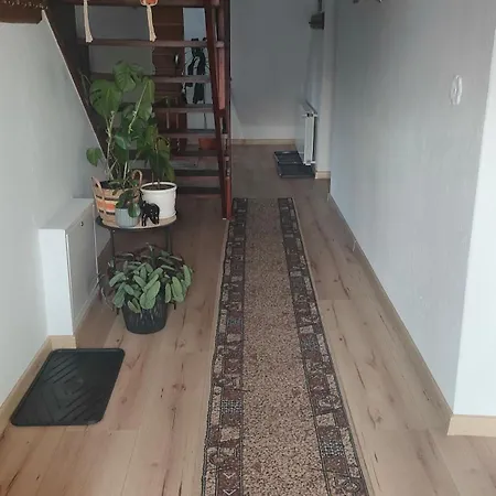 Na Brzegu Lapsze Wyzne