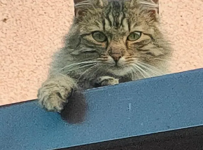 Na Brzegu Lapsze Wyzne