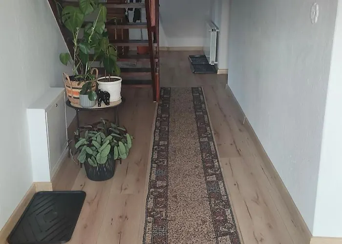 Na Brzegu Lapsze Wyzne